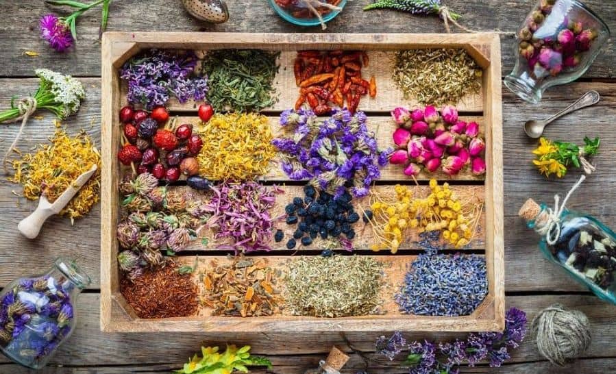 دوره‌های فنی مراکز آزاد بهداشت و ایمنی، ماساژ، و گیاهان دارویی